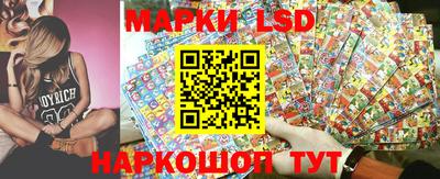 spice Кандалакша
