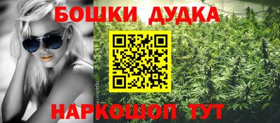 скорость Кингисепп